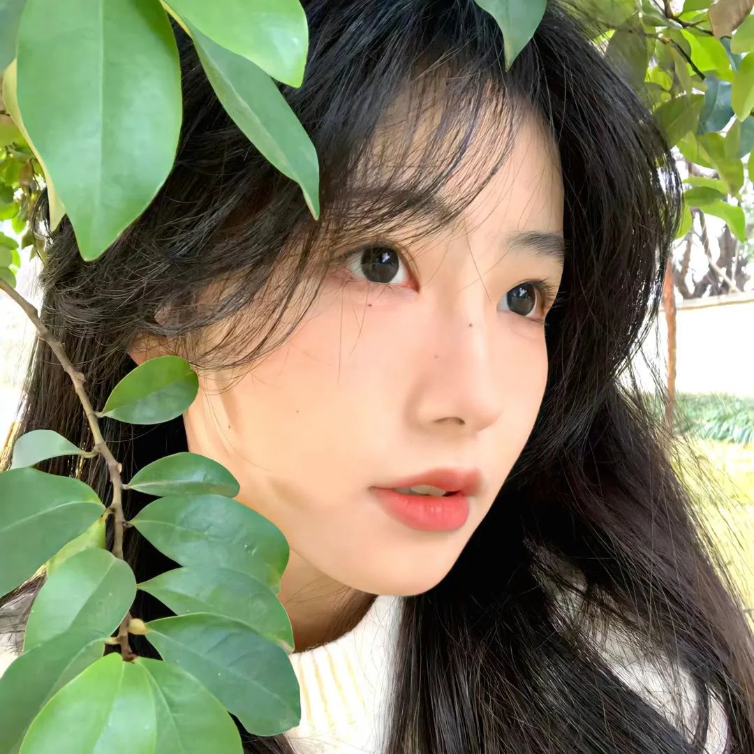 机械玩家
